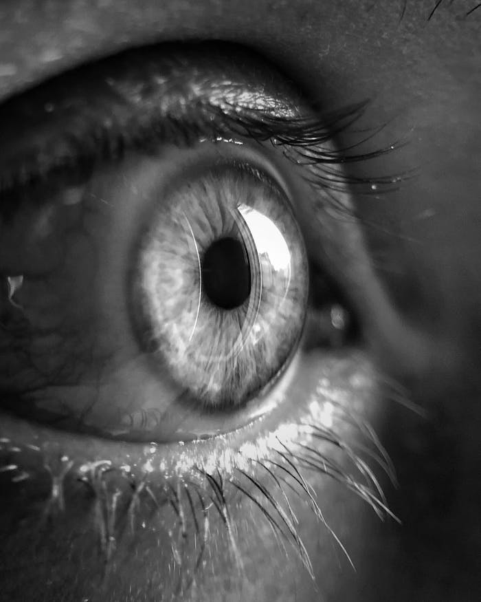 Macro shot of a human eye in black and white, showing detailed textures and reflections.